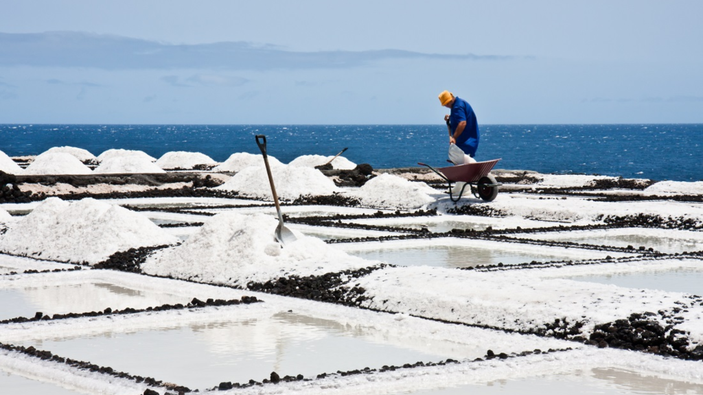Process of how is Sea salt made