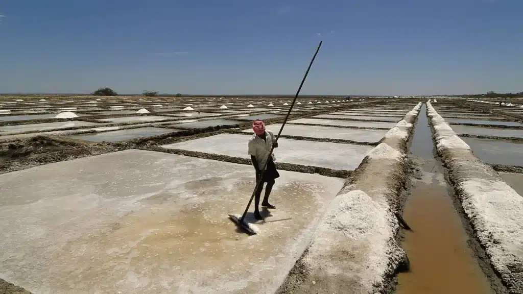 Sea Salt Harvesting Process