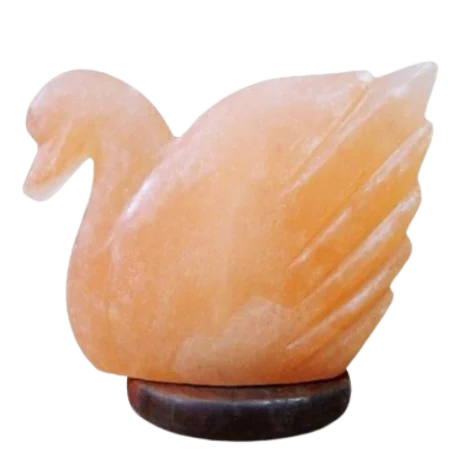 Duck Shape Himalayan Animal Salt