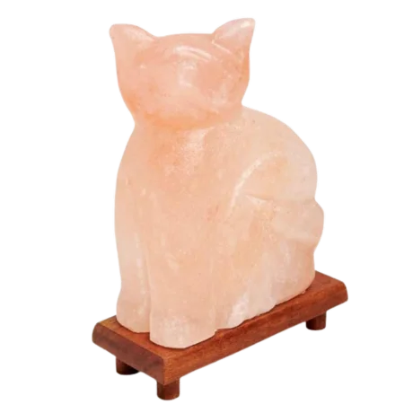 CAT SALT LAMP 6