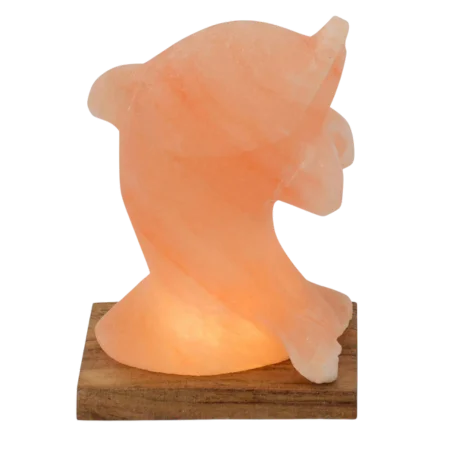 DOLPHIN SALT LAMP 7