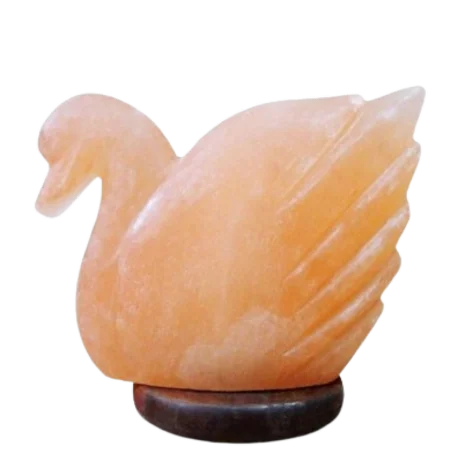 DUCK SALT LAMP 9