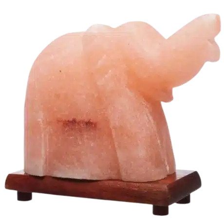 ELEPHENT SALT LAMP 2