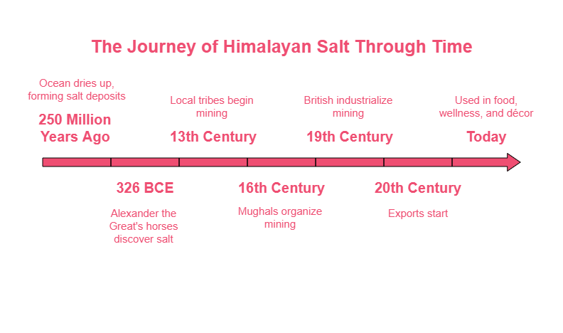 The Fascinating Himalayan Salt History You Need to Know