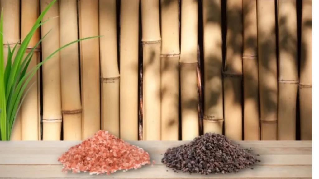 Difference Between Bamboo Salt vs Himalayan Salt