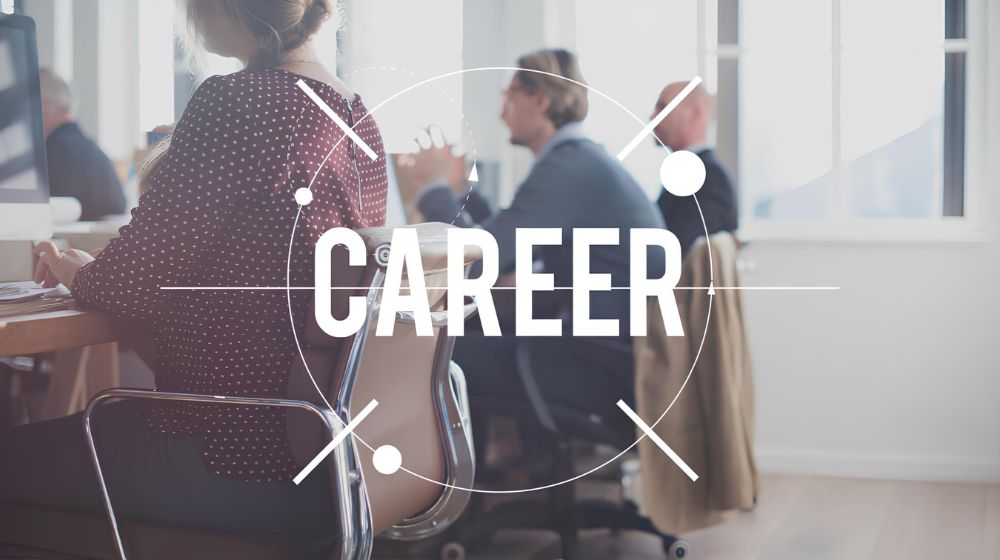 Career At Sobaan Salts