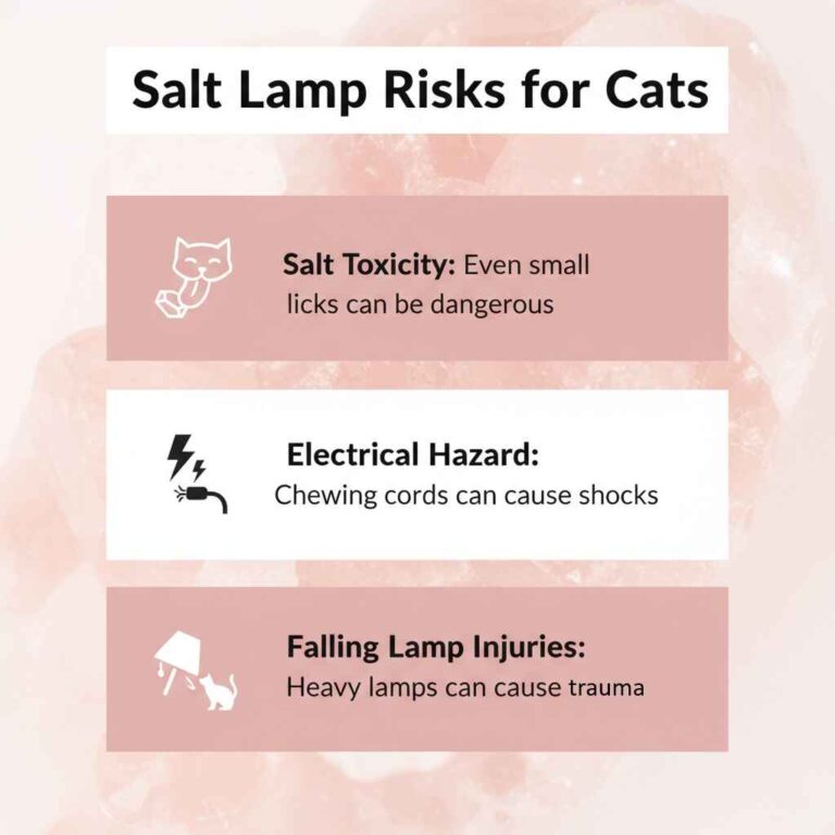 Salt Lamp Risk For Cats - Sobaan Salts