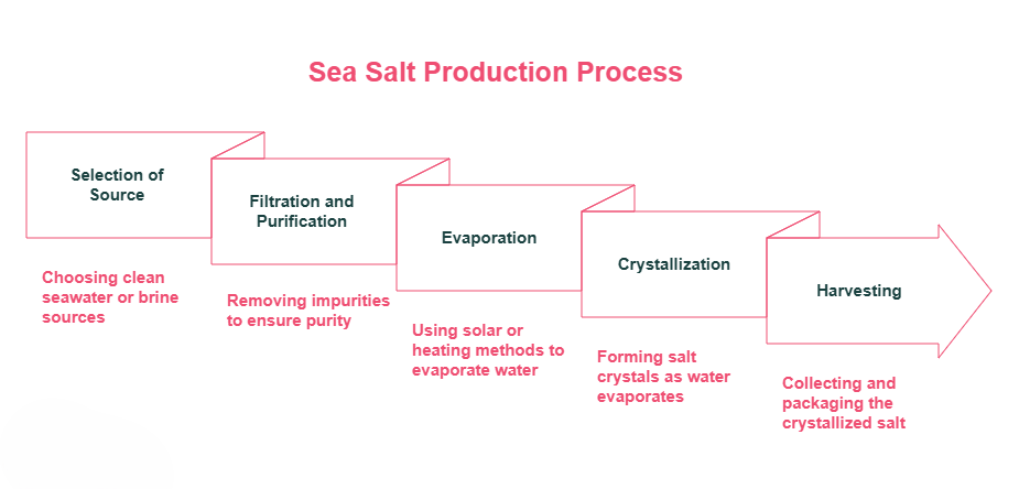 How Is Sea Salt Made? Natural Process Explained