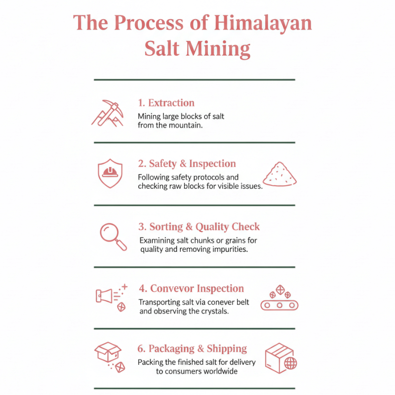 Process of Himalayan Salt Mining Explained Simply